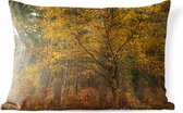 Buitenkussens - Tuin - Gouden bladeren in de bossen van het Engelse Nationaal park New Forest - 50x30 cm