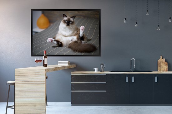 Cadre photo chat dans un lit noir sans support