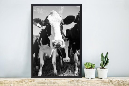 Photo encadrée - Troupeau de vaches dans un pâturage cadre photo noir sans passe-partout 40x60 cm - Affiche encadrée (Décoration murale salon / chambre)