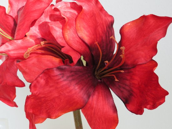 Bouteille BRYNXZ à base d'amaryllis rouge Silkka
