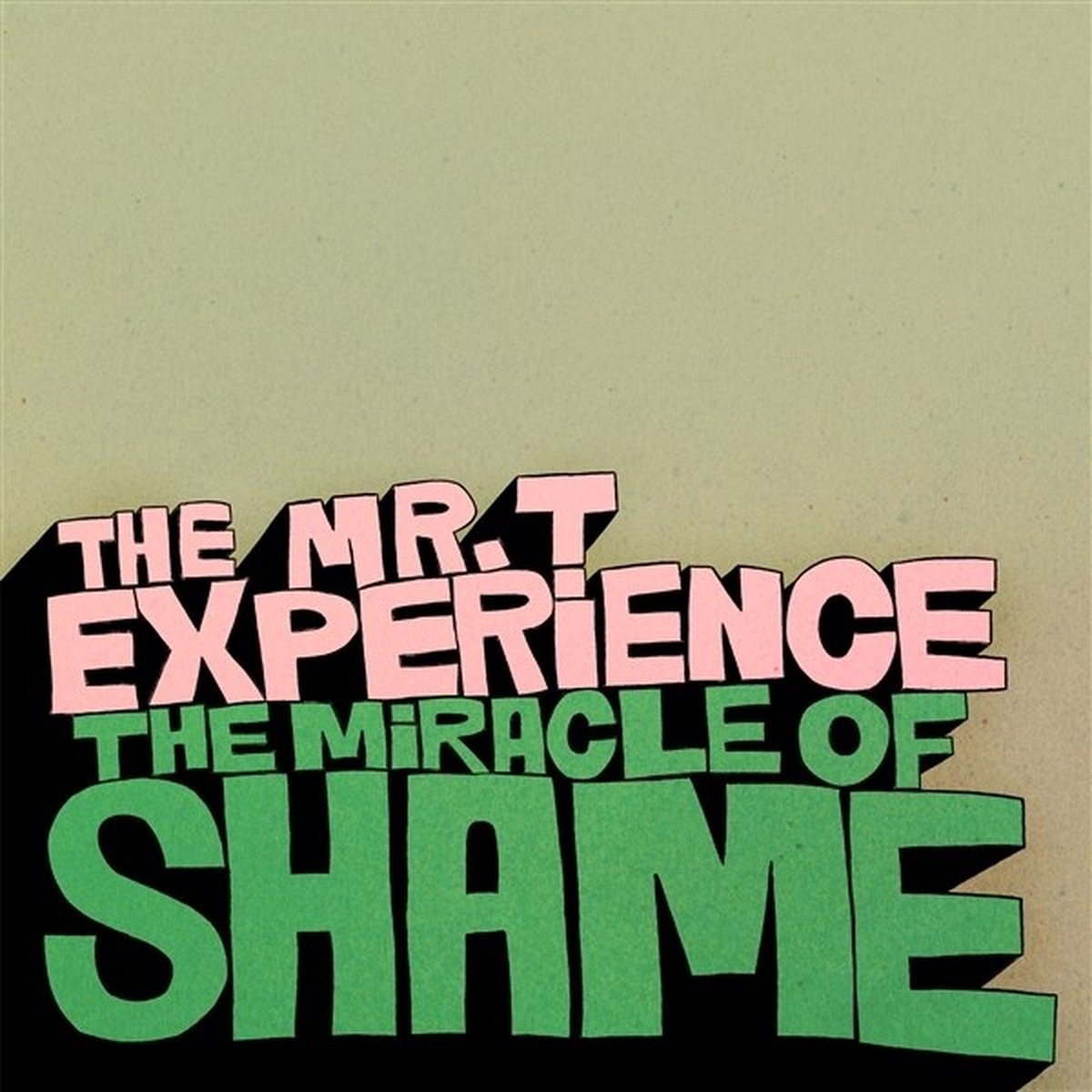 Mr. T Experience - Miracle Of Shame (LP)