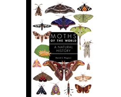 Omslag van A Guide to Every Family- Moths of the World