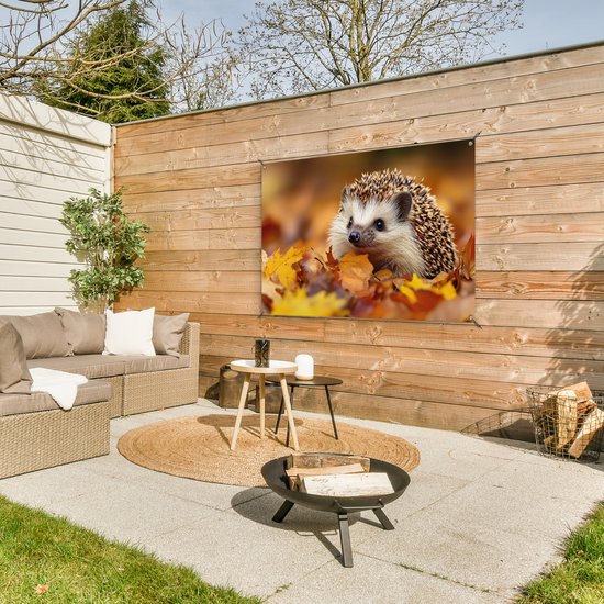 Egeltje in herfstbladeren hangend aan een houten schutting, met tuinmeubilair.