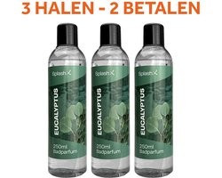 Splash-X spa geur eucalyptus 250 ml (3 halen = 2 betalen)
