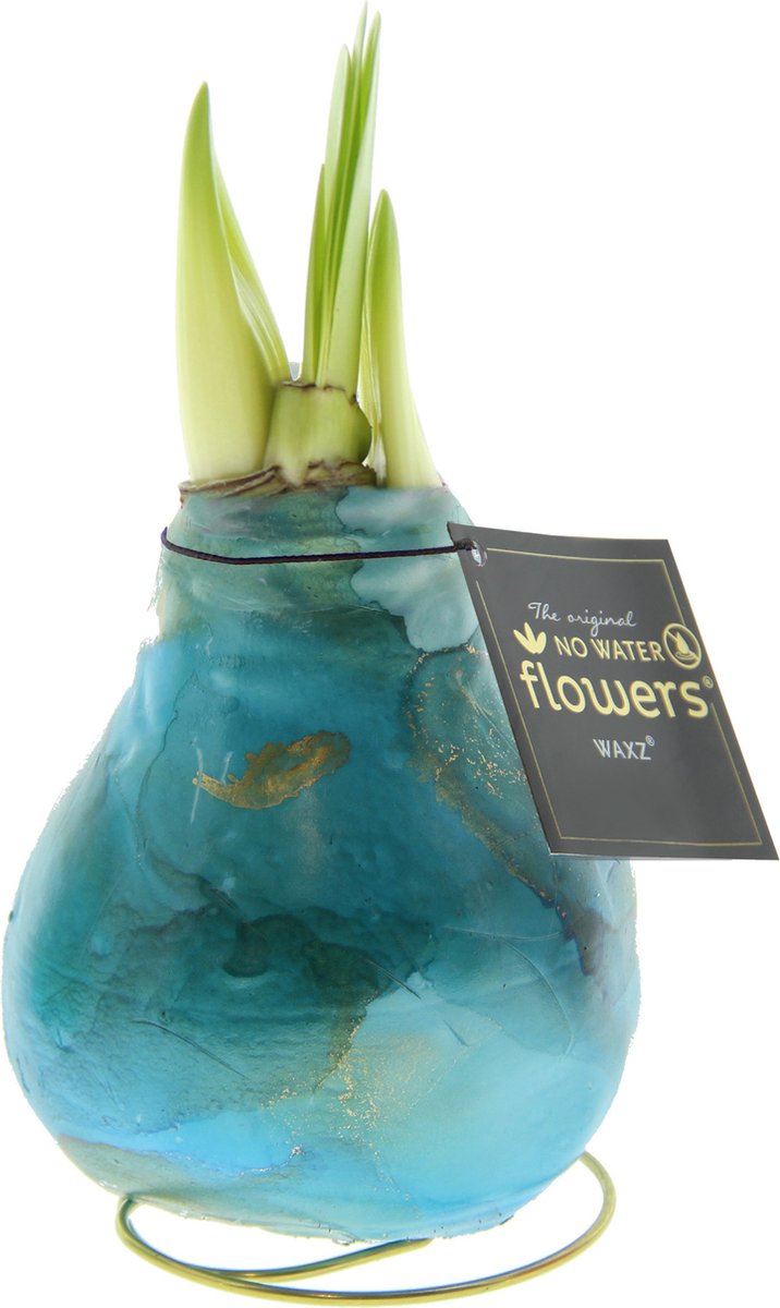 Univerz Saturnus Aqua