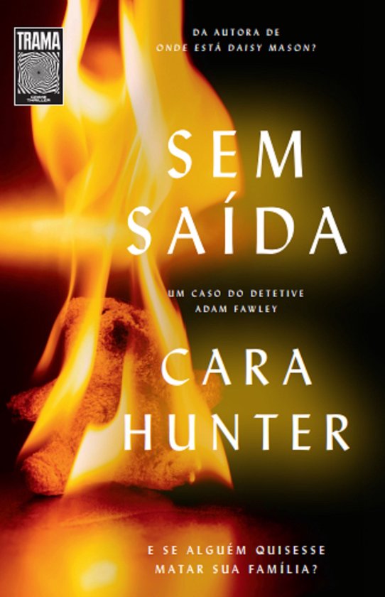 Um caso do detetive Adam Fawley 3 - Sem saída - cover