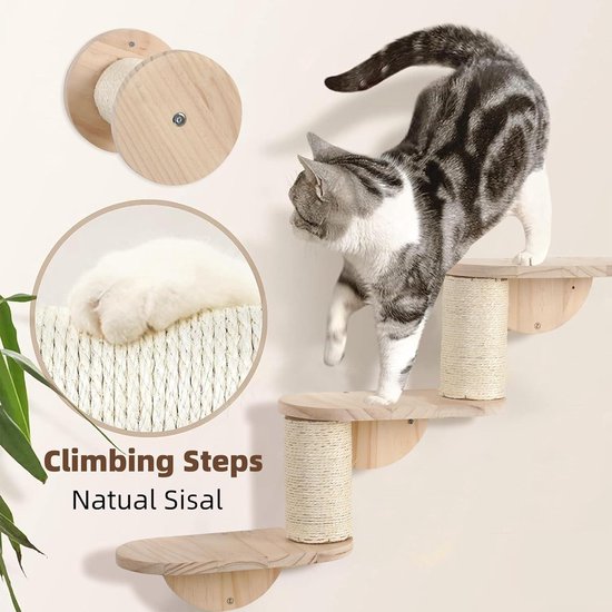 Kattenklimwandset
