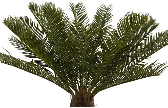Lesli Living Plante Artificielle Palmier Tropical - en pot d'intérieur - noir - 60 cm - soie - plantes artificielles pour la maison ou le bureau
