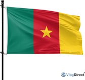De Kameroense vlag met kleuren groen, rood, geel en een gele ster, wapperend aan een vlaggenmast.