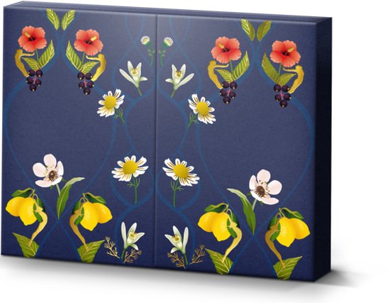 Pukka Tea Discovery Box - 30 Theezakjes - Biologische Kruidenthee - 5 x 6 Zakjes - Giftset - Theedoos - Thee Geschenkdoos