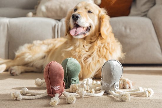 Drie zachte octopus knuffels in roze, groen en grijs, met touwpootjes, voor honden.