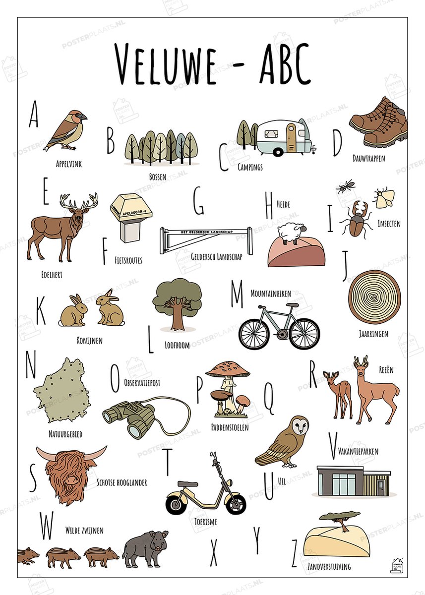 ABC Poster Veluwe - 50 x 70 cm - Educatieve Letterposter met Handgetekende Illustraties - Kinderkamer & Wanddecoratie - Woondecoratie - Relatiegeschenk