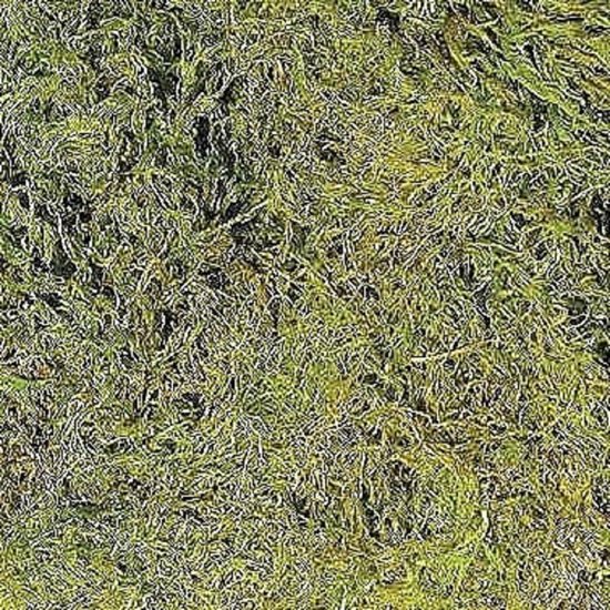 Mousse Artificielle 200g Pour Décorations Créatives - 3 Couleurs Vert, Bleu Tiffany, Jaune - Terrariums, Crèches, Modélisme