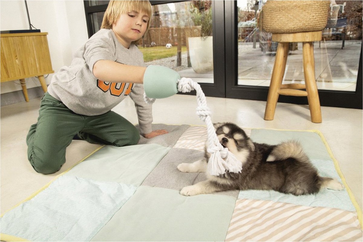 LG Beeztees Puppy Pullina - Flostouw met beschermkap thumbnail 2