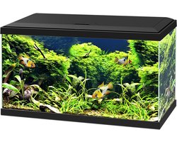 Ciano Aquarium 60 Led Cf80 60x30x34 cm - Aquaria - Zwart - 58L