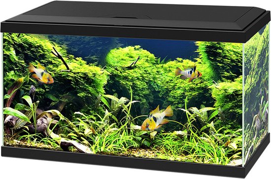 Ciano Aquarium 60 Led Cf80