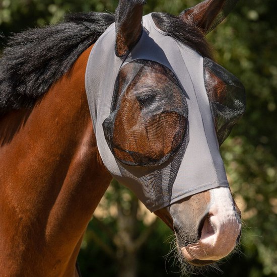 Bruine paard met een grijs vliegenmasker met gaas rond de ogen en oren.