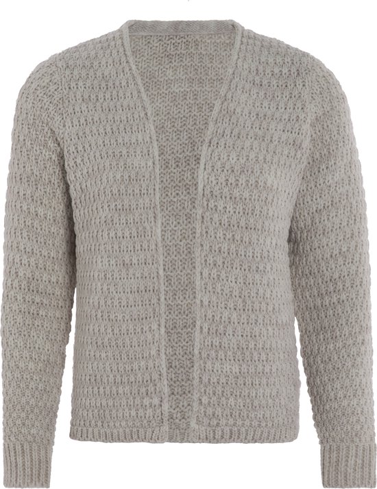 Knit Factory - Becky Gebreid Vest - Gebreide dames cardigan - Kort vest op heuphoogte - Grijs damesvest gemaakt uit 30% wol en 70% acryl - Iced Clay - 36/38