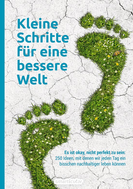 Kleine Schritte für eine bessere Welt - cover