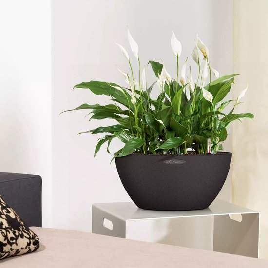 LECHUZA CUBETO Stone 40 - Plantenbak - met uitneembare binnenbak - met bewateringssysteem - ALL-IN-ONE set met LECHUZA-PON - steengrijs