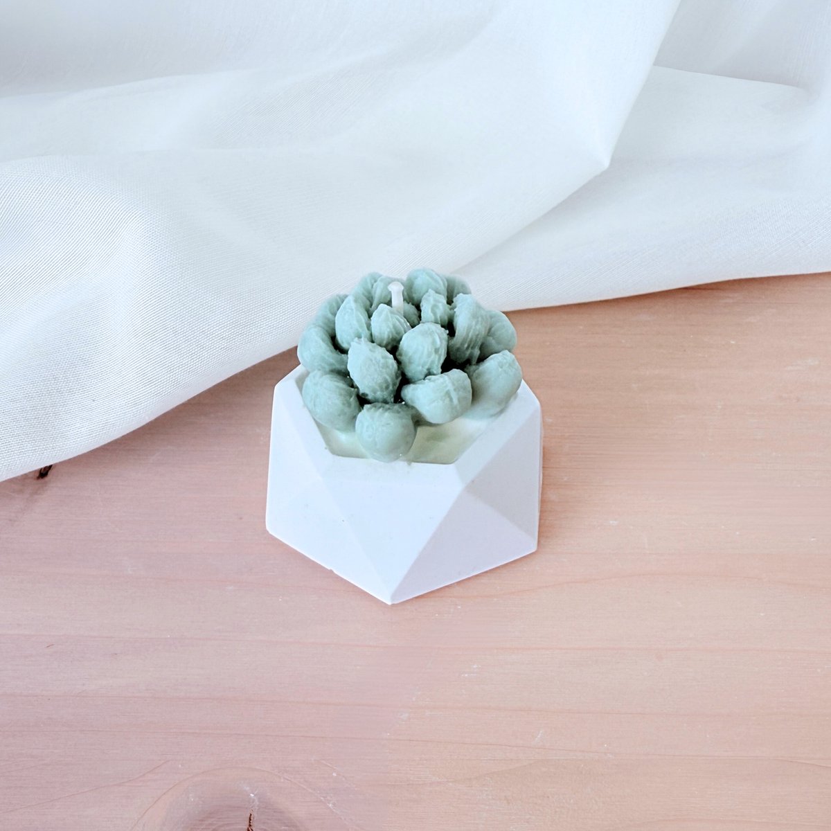 Geurkaars Mini Vetplant-Vetplant geurkaars in mini pot- Succulent, Cactus kaars- Frisse geur kaars- Sinterklaas cadeau