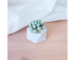 Geurkaars Mini Vetplant-Vetplant geurkaars in mini pot- Succulent, Cactus kaars- Frisse geur kaars- Sinterklaas cadeau