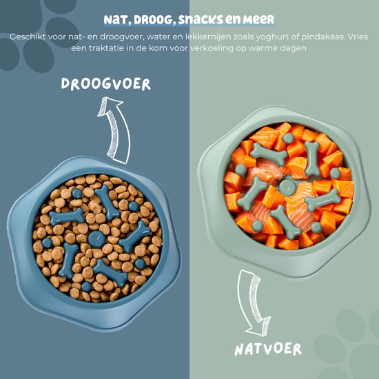 Een blauwe voerbak gevuld met droogvoer en een groene voerbak gevuld met natvoer, beide met bone-vormige obstakels.