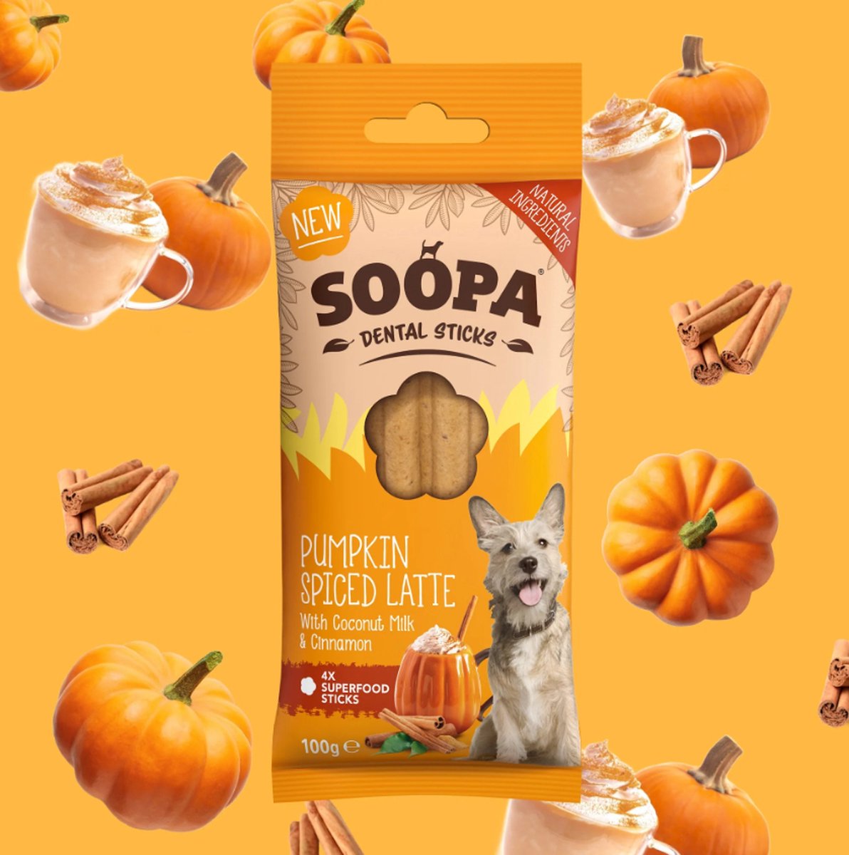 Soopa - Pumpkin Spice Latte - Dental Sticks - Display 10 stuks