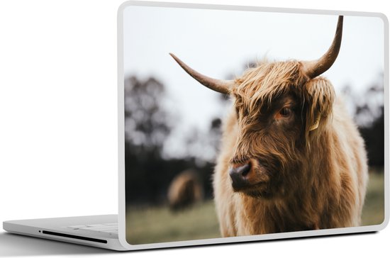 Autocollant pour ordinateur portable - 10,1 pouces - Highlander écossais - Animaux - Cornes - 25x18cm - Autocollants pour ordinateur portable - Peau pour ordinateur portable - Couverture