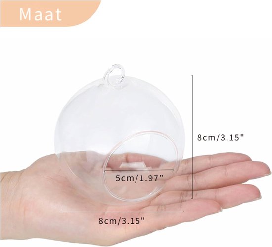 NUPTIO 12 stuks glazen plantenbakken om op te hangen, 10 cm diameter, glas, rond, pot - water planten vazen lucht bloem vaas plant terraria plantencontainer