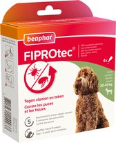 Doos Beaphar FIPROTec. Bruine krulhond kijkt naar rechts. Tekst: Tegen vlooien en teken. Beschermt 5 weken tegen vlooien. 4x 268 mg oplossing.