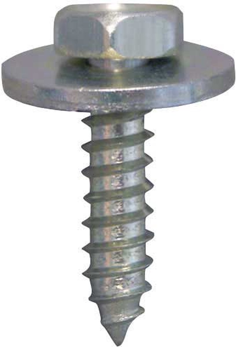 Zeskantplaatbout 4.8x19mm