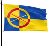 De Heusden gemeentevlag met geel en blauwe vlakken en een rood met geel wiel in het midden.