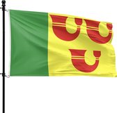 De vlag van Heeze-Leende is geel met groene baan aan de hijszijde. De gele baan is voorzien van drie rode pompebladeren.
