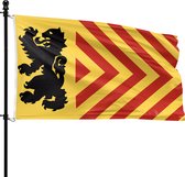 Gele vlag met een zwarte leeuw en rode chevrons.