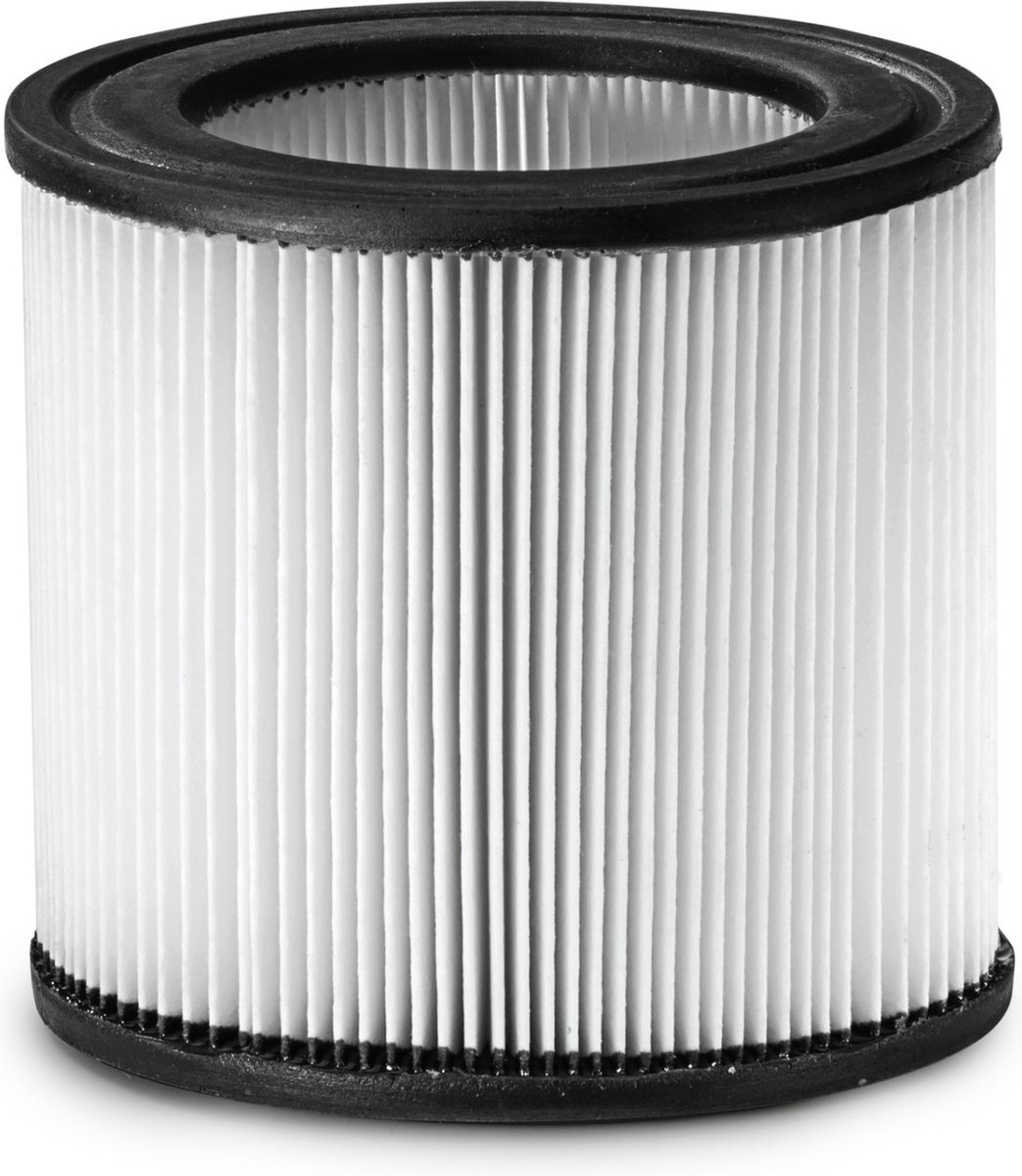 Kärcher Professional 2.889-219.0 Patroonfilter 1 stuk(s)
