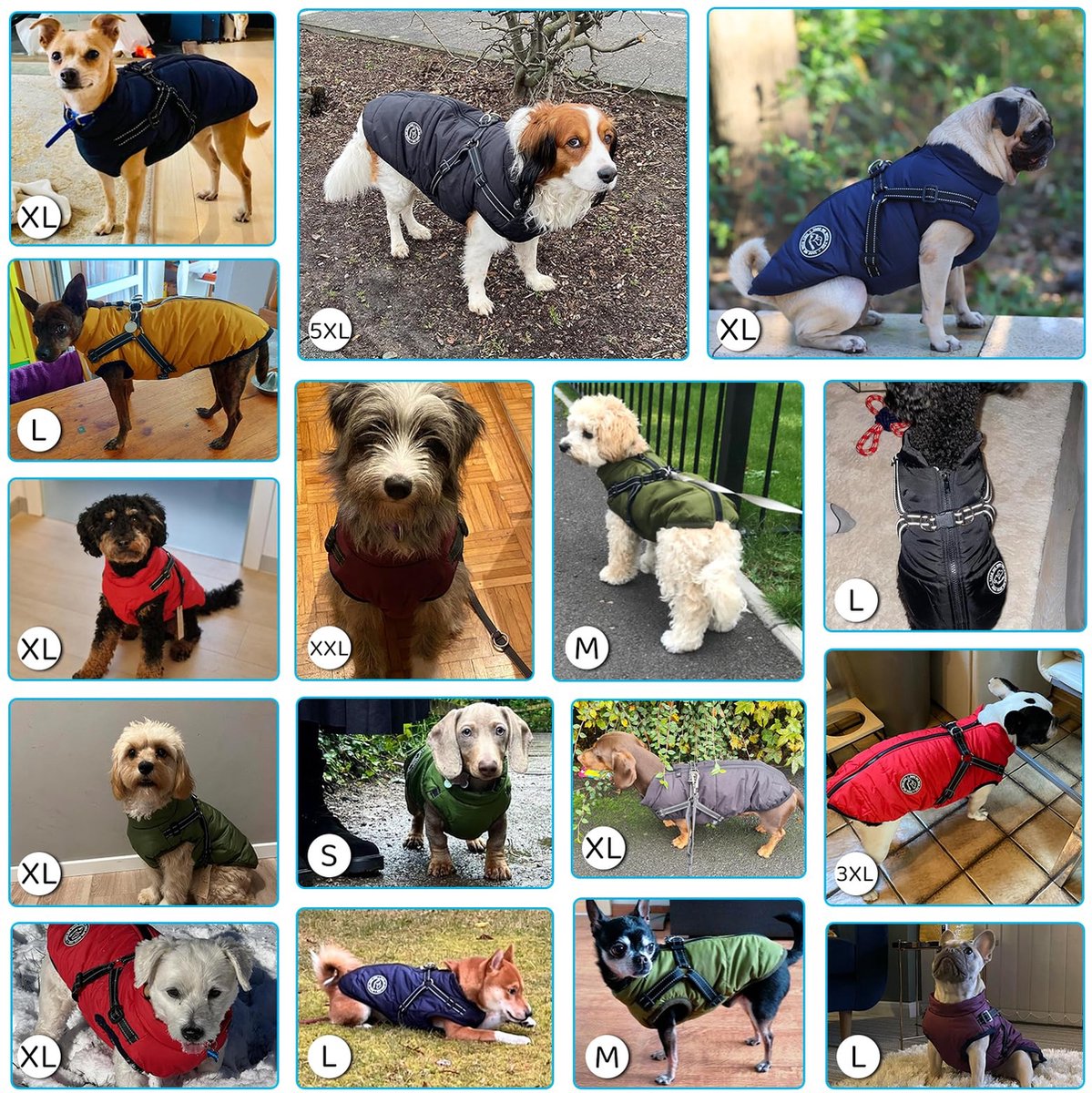 Hondenwinterjas, Waterdichte Hondenjas Met Harnas, Warm Vest Hondenkleding For Kleine Honden, Verstelbare Warme Jassen En Jacks For Honden, Met Katoen