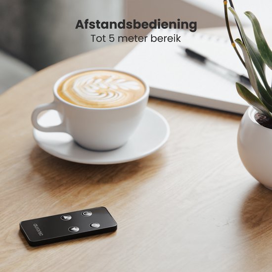 Auronic Chauffage Électrique - Convecteur avec Thermostat et Télécommande - Panneaux chauffants - jusqu'à 30 m² - Chauffage 2500W - Zwart