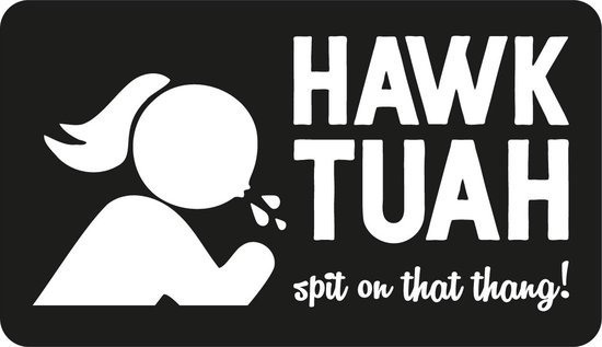 Hawk Tua Sticker Sticker - Hawk Tuah - 10cm x 5,5cm | bol