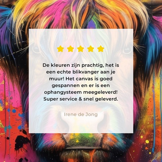 Peinture sur toile 80x120 cm - Décoration murale Graffiti - Highlander écossais - Vache - Coloré - Décoration murale murale salon - Décoration chambre - Accessoires de chambre - Peintures