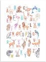 Animaux - Alphabet