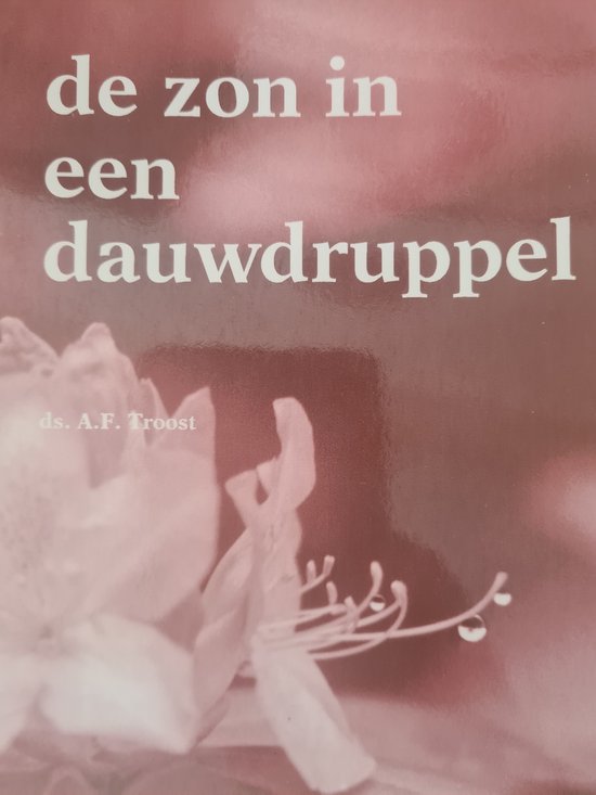 De zon in een Dauwdruppel
