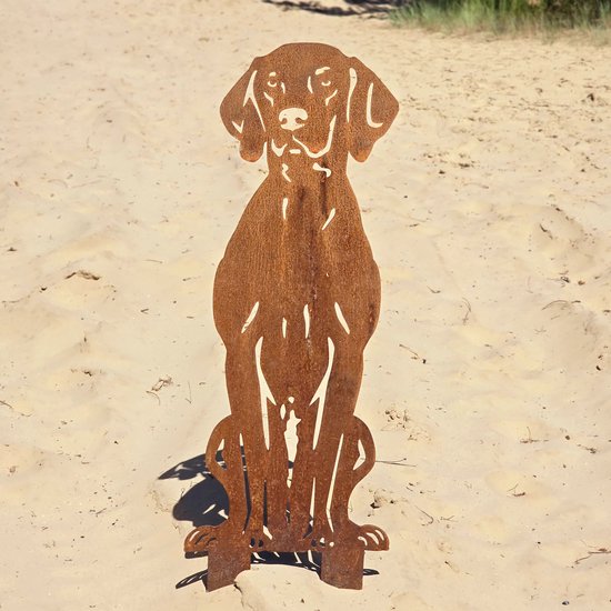 Vizsla - Weimaraner - silhouette chien - Acier corten - Produit NL - Taille réelle