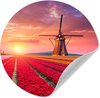 Fleurs - Champ de tulipes, Rouge