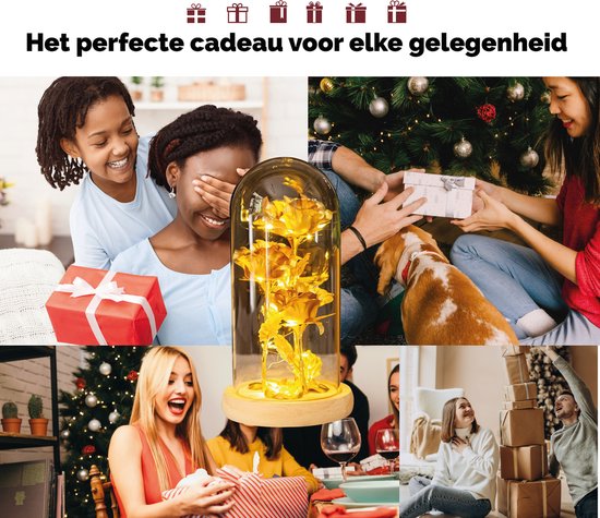 Een collage van mensen die cadeaus ontvangen en geven, met een gouden roos in een glazen stolp als middelpunt.