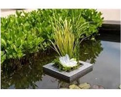 Moerings Natuurlijk Drijfring Los