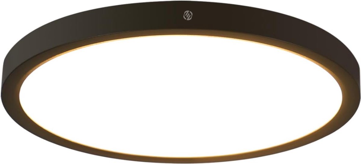 Equivera Plafonaire Lamp - Lamp - Plafond Lamp - Plafonnaire Lamp - Plafondlamp zwart