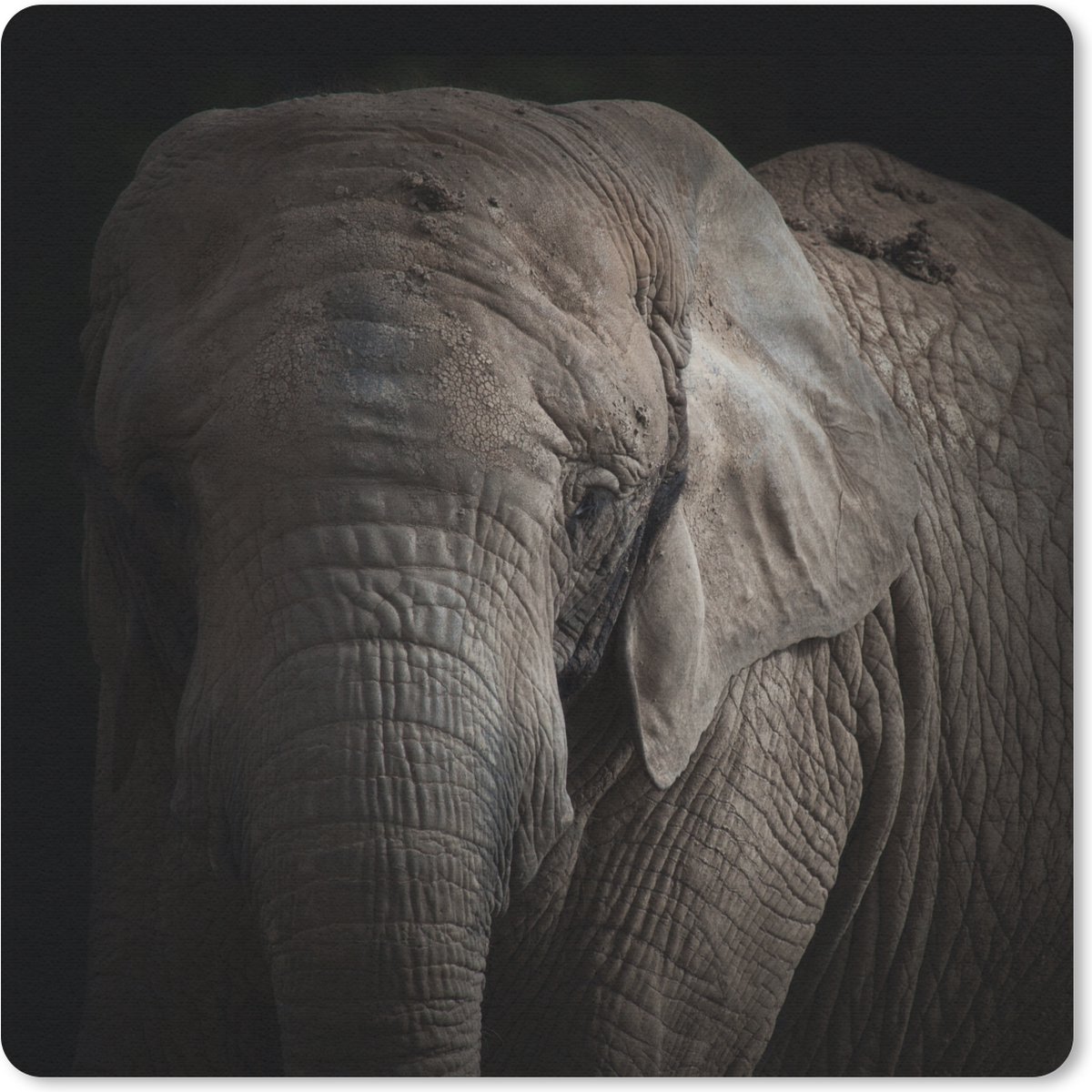 Muismat 20x20 cm - Mousepad Olifant - Portret - Dieren - Zwart - Muismatten