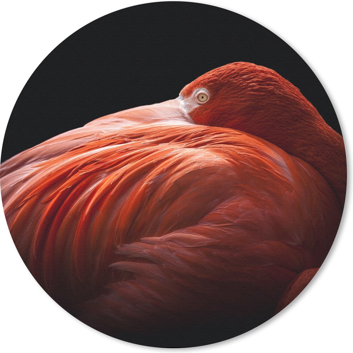 Muismat rond 40x40 cm - Mousepad Flamingo - Veren - Roze - Ronde muismatten