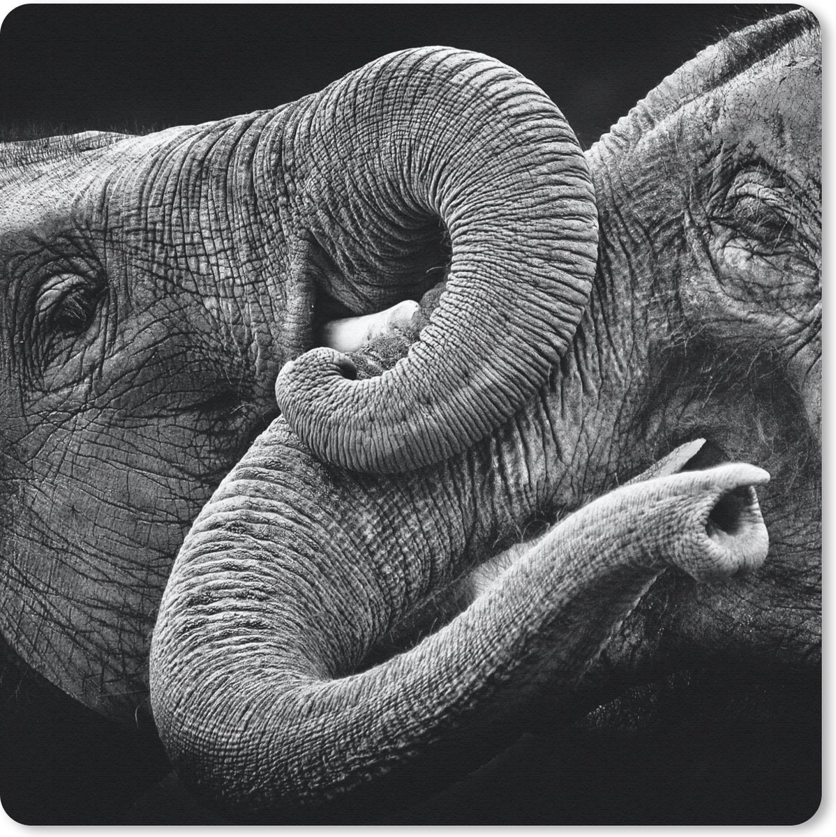 Muismat 20x20 cm - Mousepad Olifant - Dier - Slurf - Muismatten